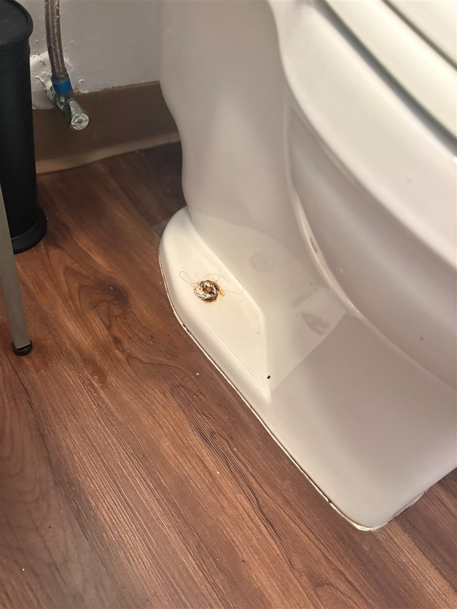 Corroded flange bolt at a toilet base.