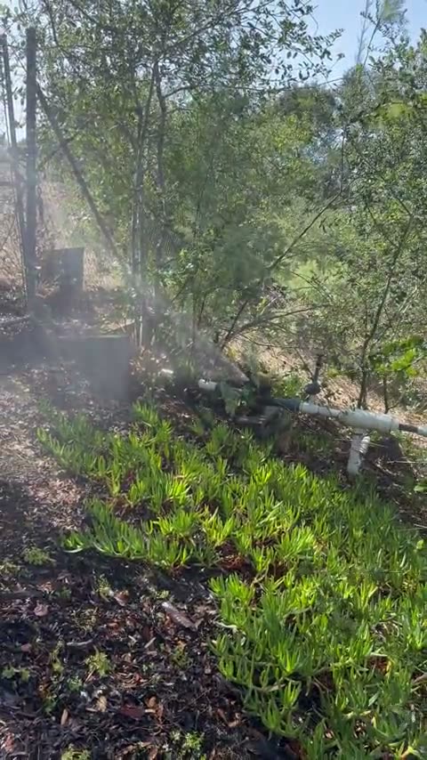 A hillside water line spraying mist over the slope, live job footage.