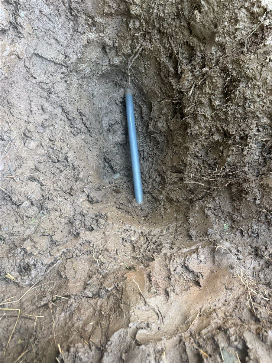 Old poly water service line uncovered with roots.