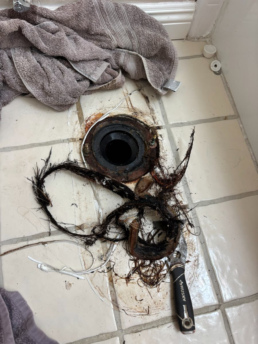A tangled root mass pulled from a toilet drain, lying beside the open flange.