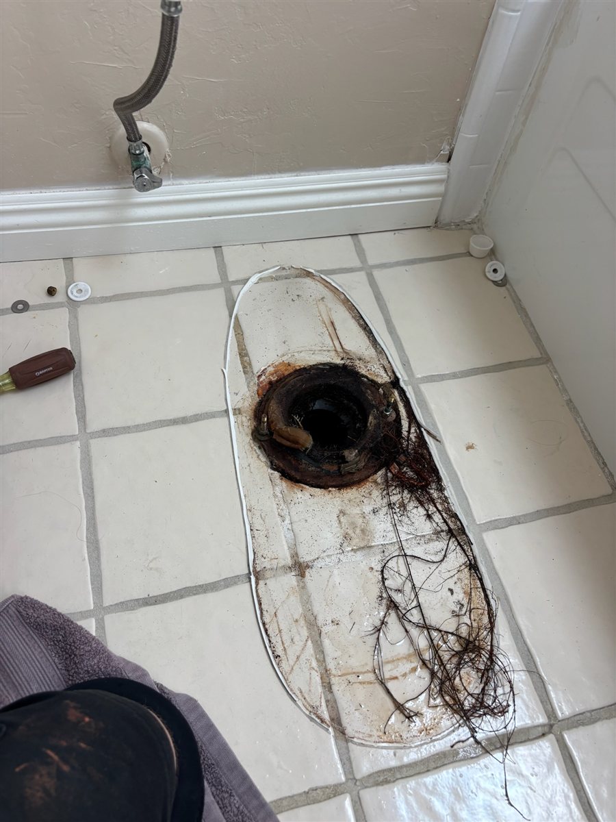 Root intrusion removal.